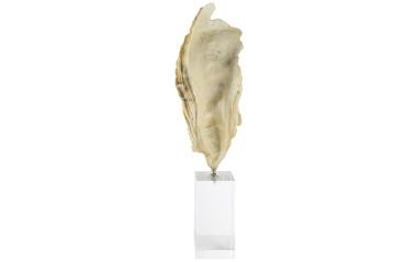 Şeffaf Kaideli Coral Dekor Obje 7x22cm