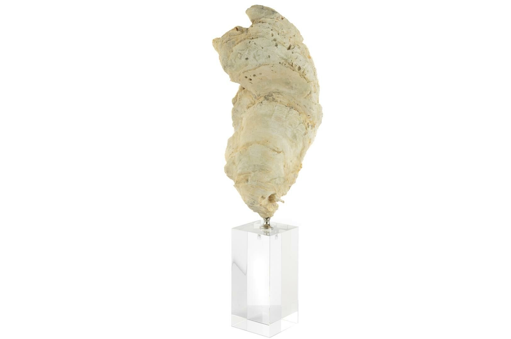 Şeffaf Kaideli Coral Dekor Obje 7x22cm