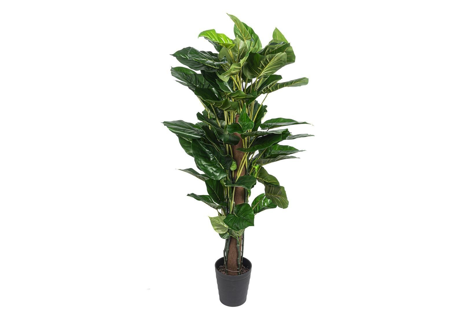 Yapay Pothos Bitkisi 155cm