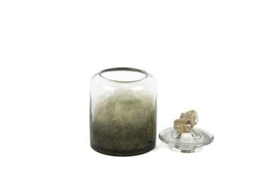 Moss Dreams Cam Kavanoz 14x18cm