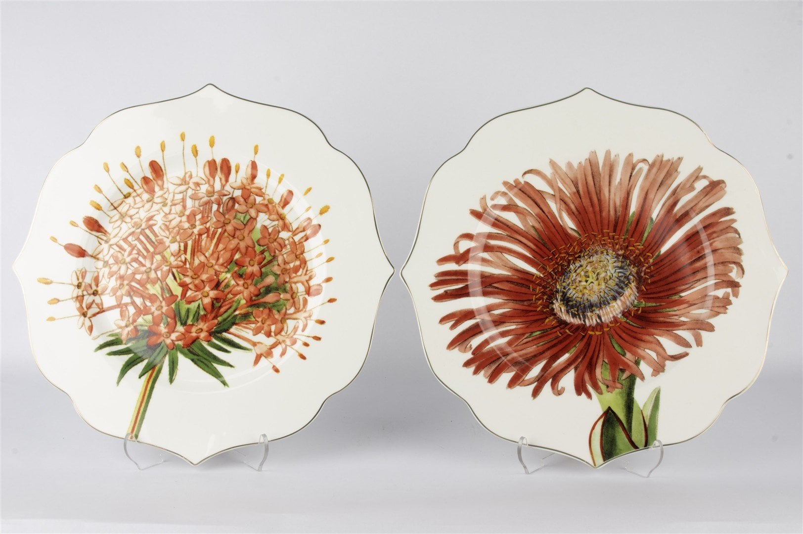 Art Of Botanical Kırmızı 2li Servis Tabağı 28cm