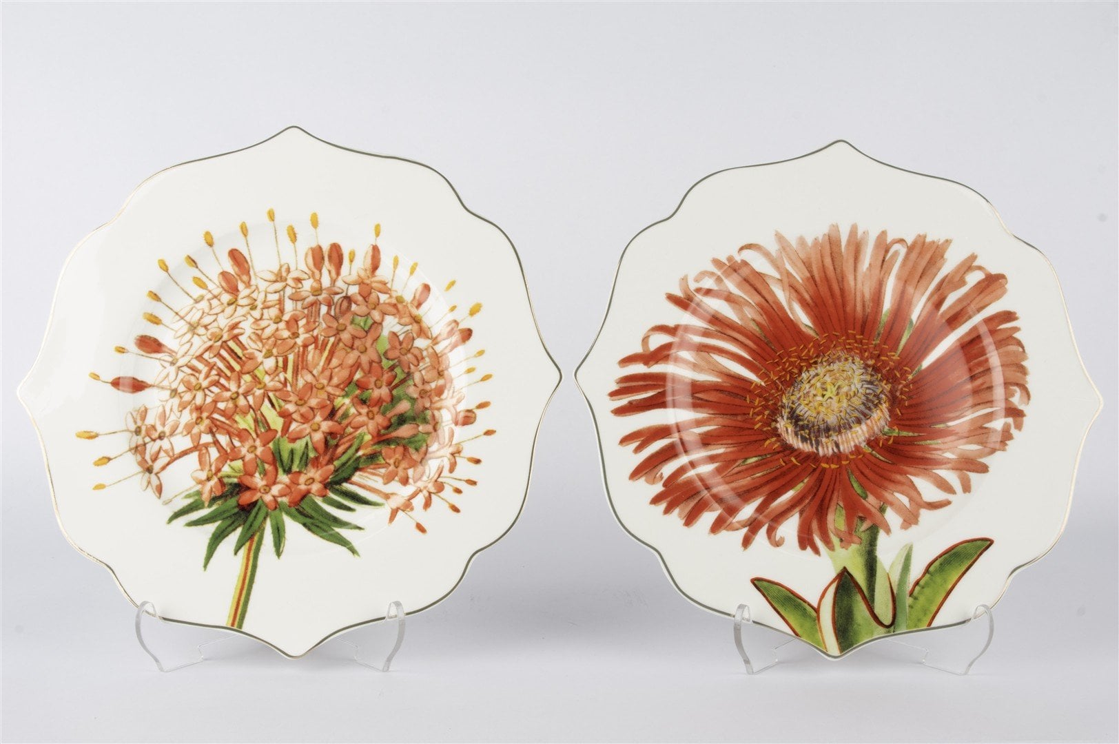 Art Of Botanica Kırmızı 2li Tatlı Tabağı 21cm