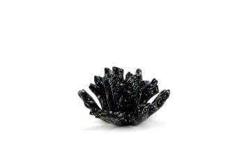 Twilight Coral Cam Dek Aks 20x10cm
