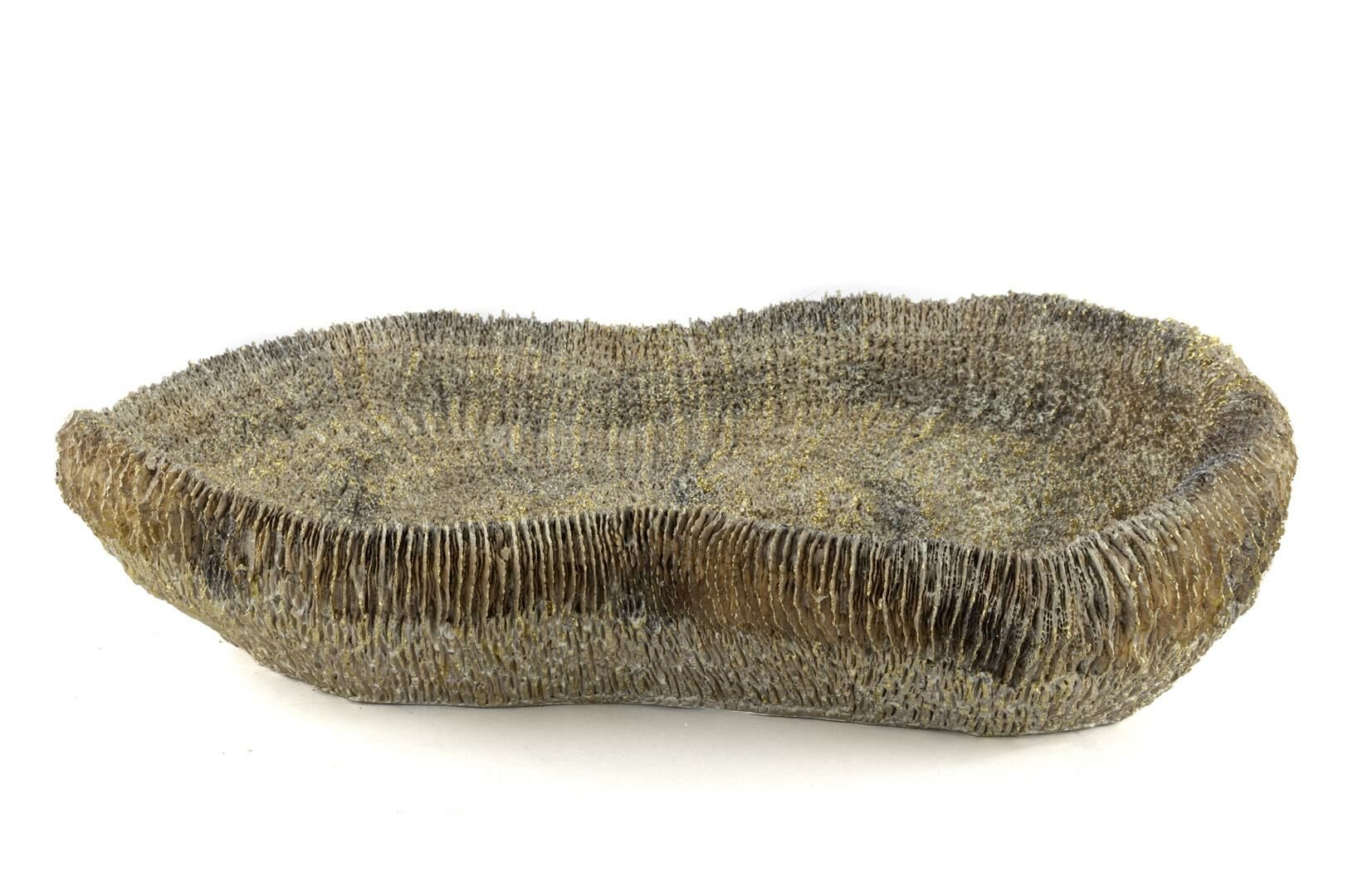 Gold Coral Dekor Kase 35x17x8cm