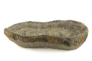 Gold Coral Dekor Kase 35x17x8cm