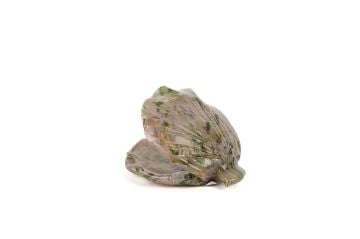 Botanic İstiridye Cam Dek 14x11cm