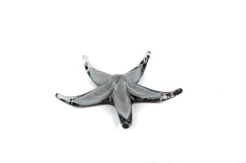 Siyah Gri Deniz Yıldızı Cam Dek 19cm
