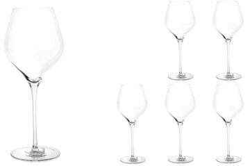 Ivory Touch 6lı Kadeh 600ml