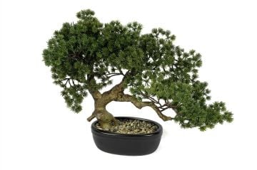 Pinus Bonsai Yapay Ağaç 36cm