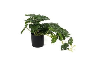 Kalathea Yapay Çiçek 23cm