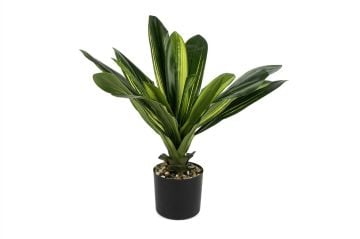 Dracaena Yapay Ağaç 52cm