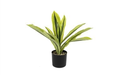 Dracaena Yapay Ağaç 45cm