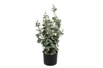 Okaliptüs Yapay Ağaç 60cm