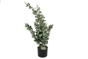 Okaliptüs Yapay Ağaç 80cm