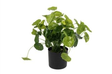 Lotus Yapay Çiçek 36cm