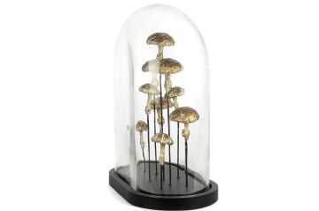 Mantarlı Dekoratif Cam Fanus 33x20x41cm