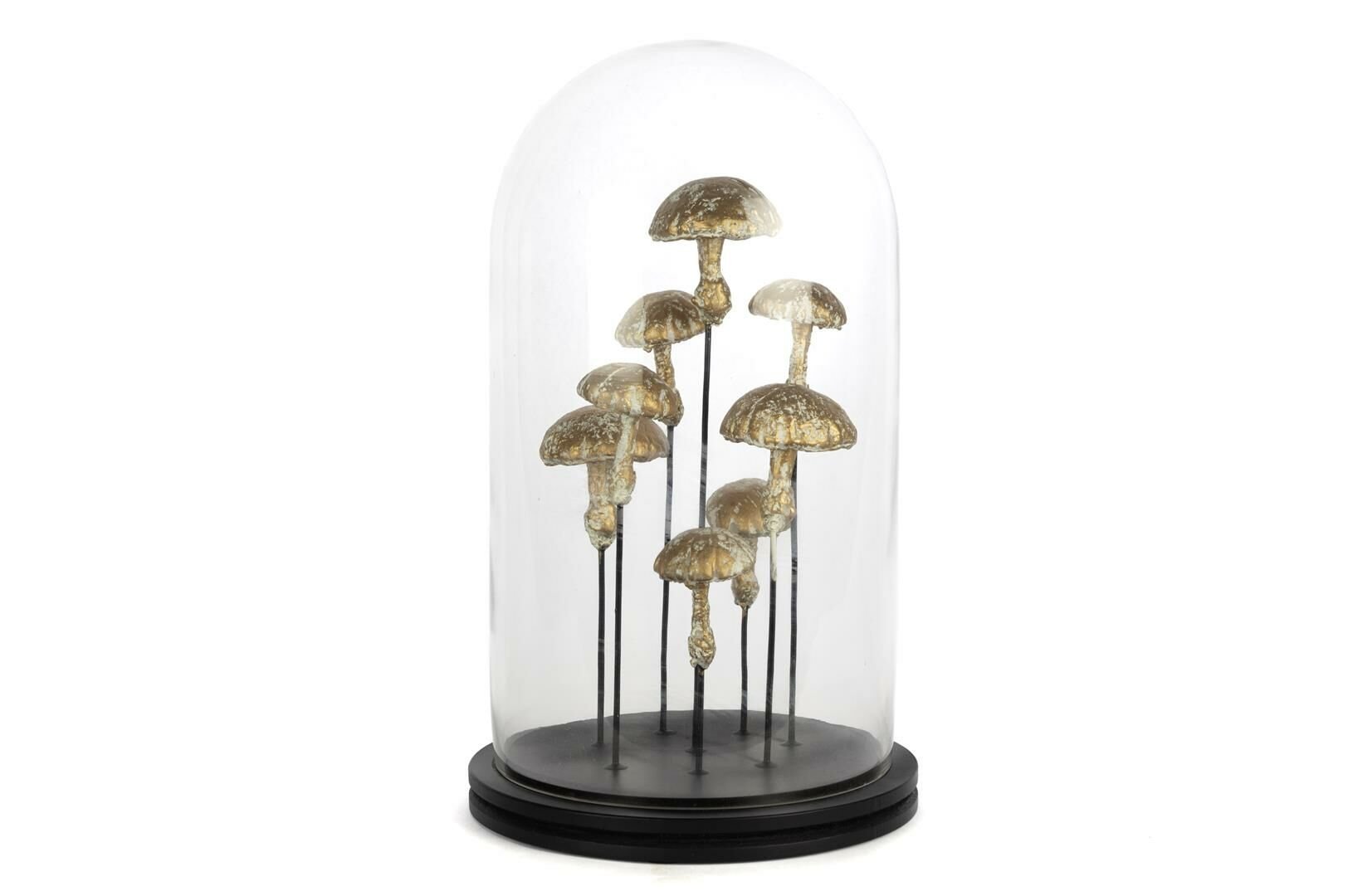 Mantarlı Dekoratif Cam Fanus 22x38cm