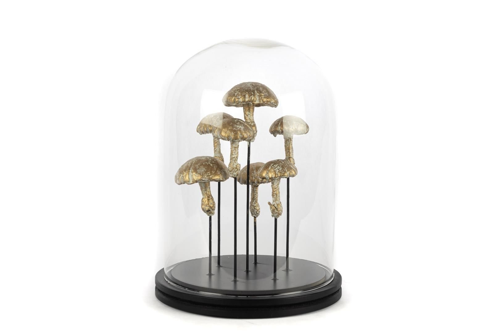 Mantarlı Dekoratif Cam Fanus 22x30cm