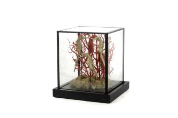 Coral Oranj Gold Dekoratif Cam Fanus 19x19x21cm