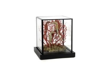 Coral Oranj Gold Dekoratif Cam Fanus 19x19x21cm