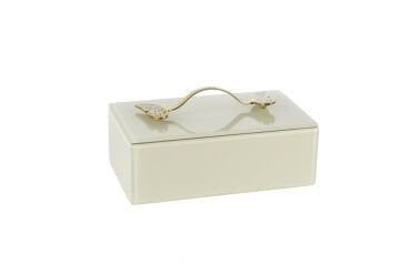Krem Gold Kelebek Kulplu Kutu 23x13x12cm
