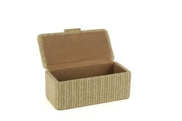 Krem Rafya Kutu 22x12x9cm