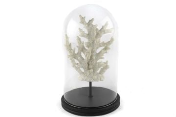 Beyaz Mercan Clear Cam Fanus 38x22cm