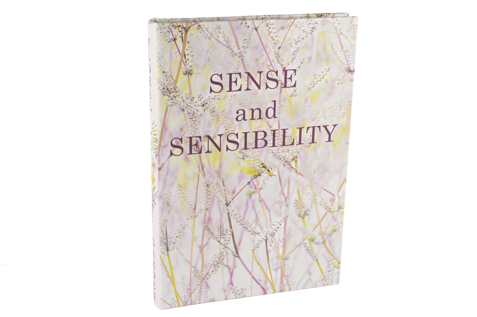 Sensibility Kitap Kutu 35x24x3cm