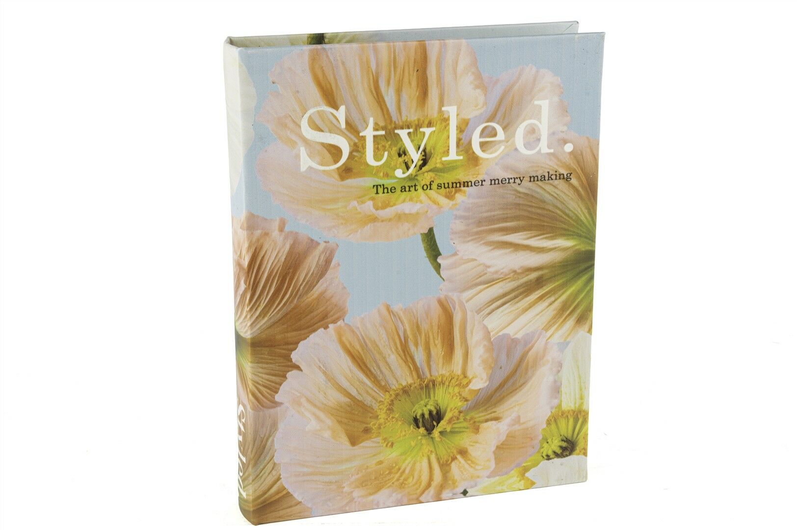 Styled Kitap Kutu 29x22x4cm