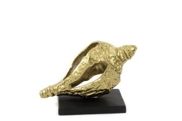 Cowry Gold Metal Dekor Obje 25x11x14cm