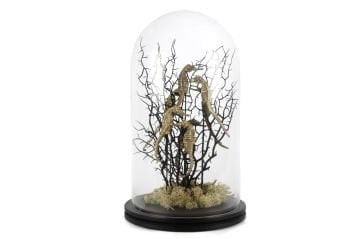Coral Siyah Gold Dekoratif Cam Fanus 22x37cm