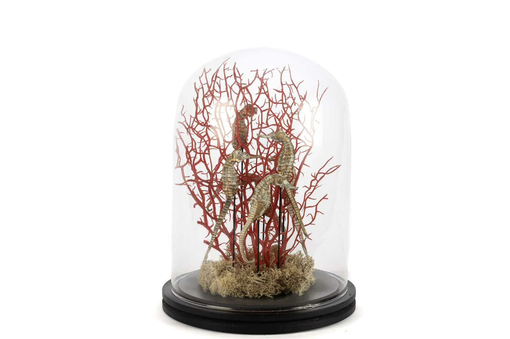 Coral Oranj Gold Dekoratif Cam Fanus 22x30cm