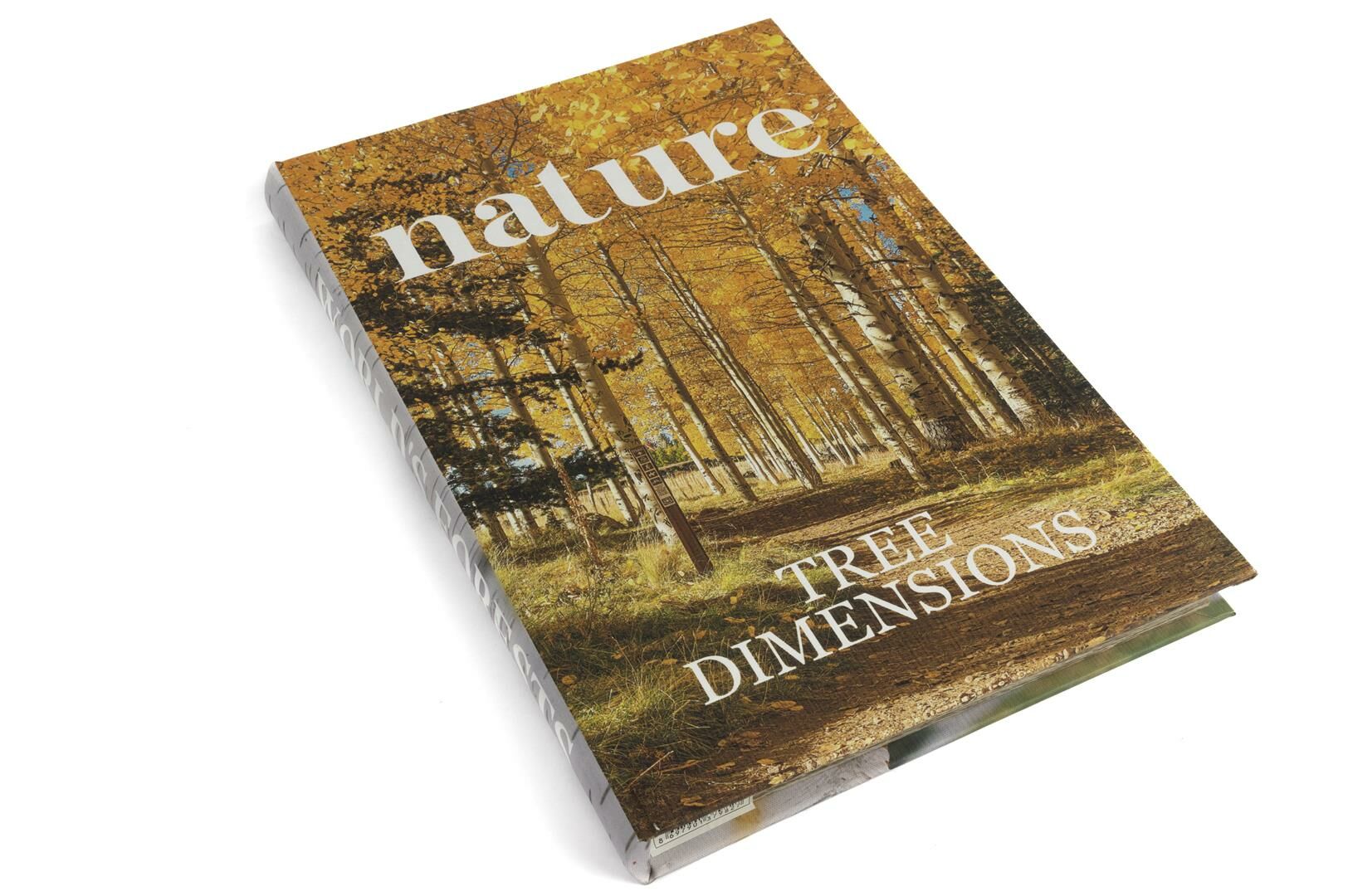 Nature Kitap Kutu 35x24x3cm