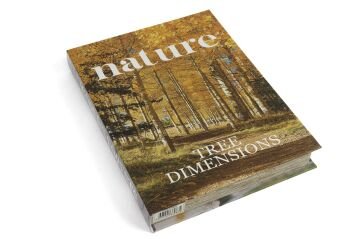 Nature Kitap Kutu 29x22x4cm