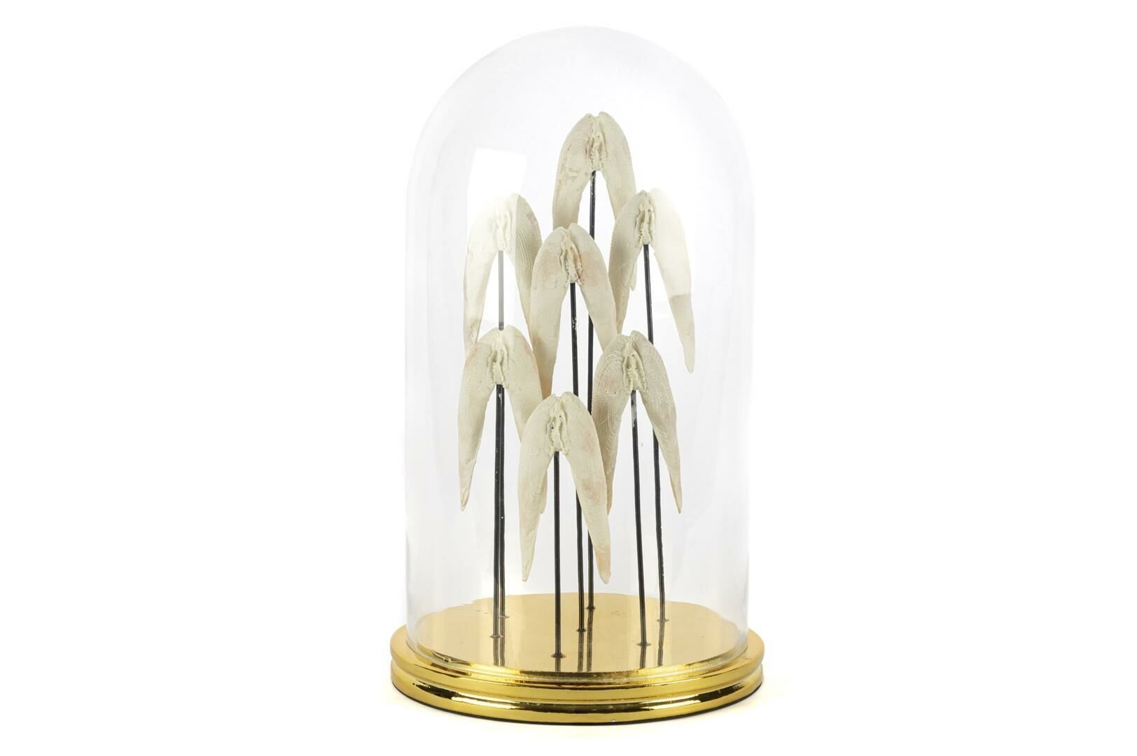 Angel Gold Dekoratif Cam Fanus 22x37cm