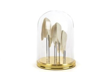 Angel Gold Dekoratif Cam Fanus 22x30cm