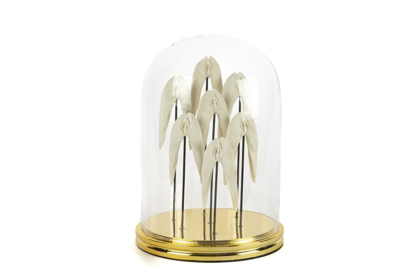 Angel Gold Dekoratif Cam Fanus 22x30cm