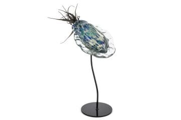 Mavi Mor Cam Kalamar Balığı 30x14x40cm