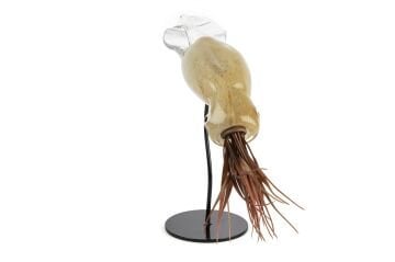 Krem Rengi Cam Kalamar Balığı 39x11x30cm