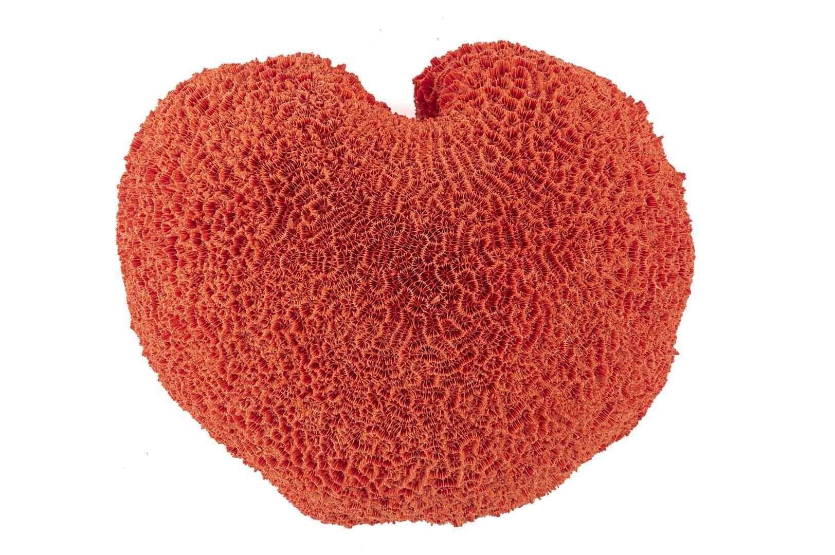 Kırmızı Mercan Resin Obje 23x20x12cm