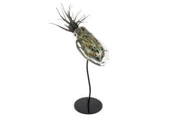 Kahve Yeşil Cam Kalamar Balığı 30x14x40cm