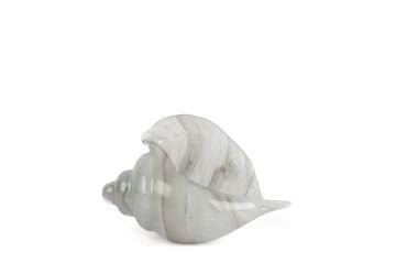 Alba Glass Dek Deniz Kabuğu 10x22x14cm