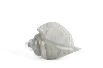 Alba Glass Dek Deniz Kabuğu 12x25x16cm