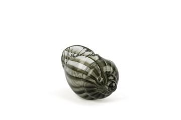 Yeşil Çizgili Dek Deniz Kabuğu 12x25x16cm