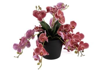 Pembe Sarkan Yapay Orkide 33cm