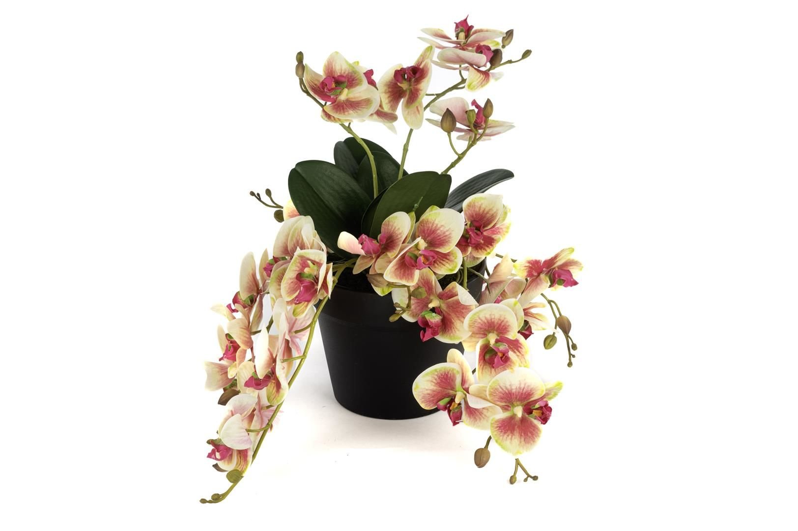 Krem Pembe Sarkan Yapay Orkide 33cm