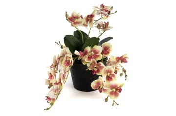 Krem Pembe Sarkan Yapay Orkide 33cm