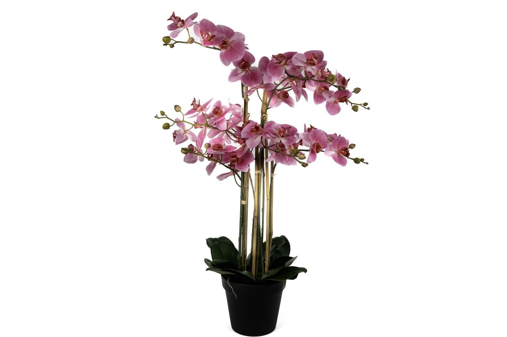 Pebme 8li Yapay Orkide 110cm