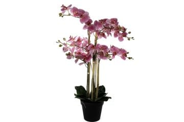 Pebme 8li Yapay Orkide 110cm