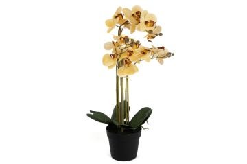 Somon 3lü Yapay Orkide 65cm
